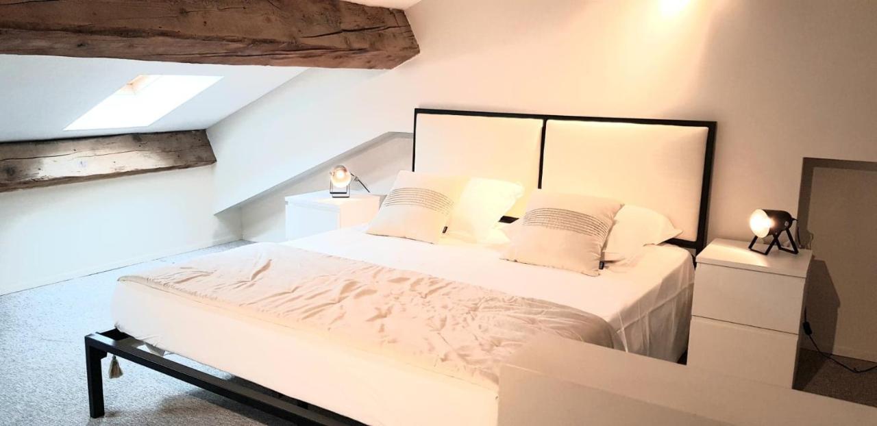 Loft Chic Apartment Carcassonne Exterior foto
